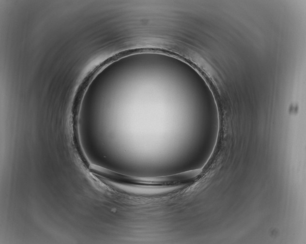 X0000097651072200802291445
