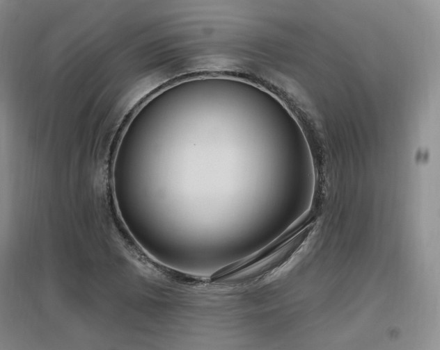 X0000097651073200802291445