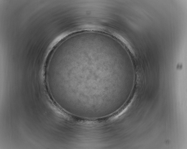 X0000097651074200802291445