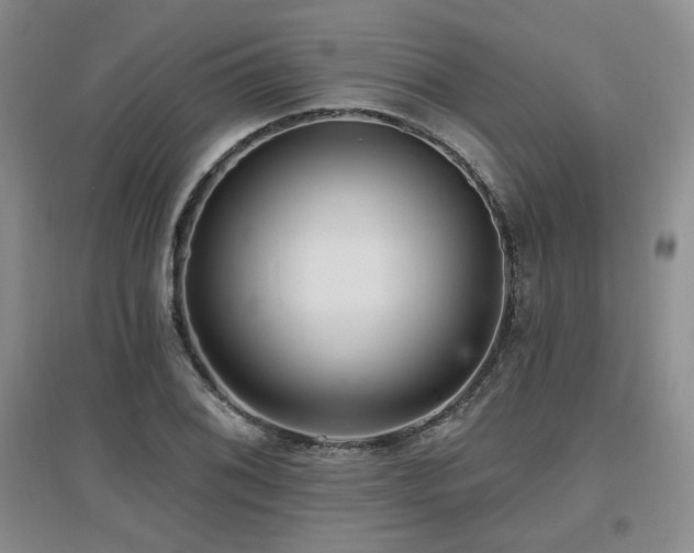 X0000097651076200802291445