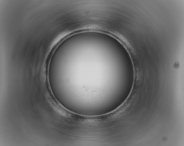X0000097651078200802291445