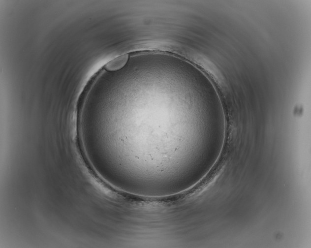 X0000097651079200802291445