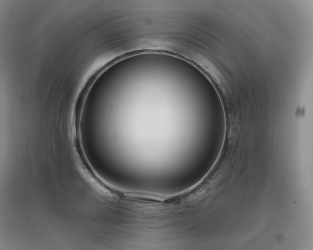 X0000097651080200802291445