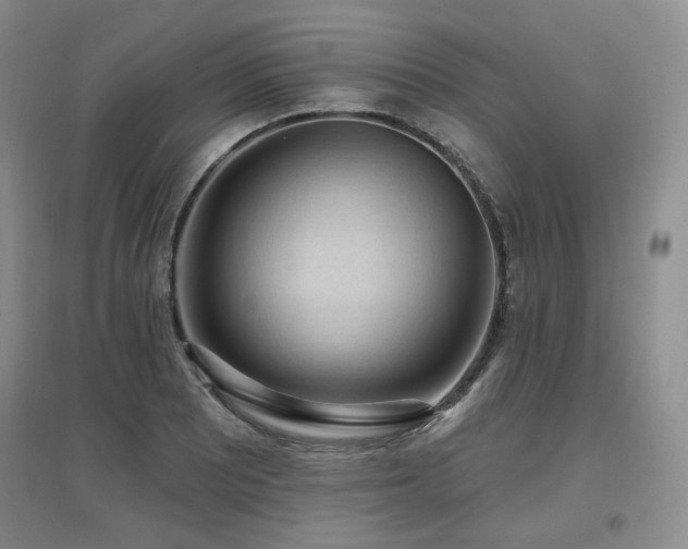 X0000097651081200802291445