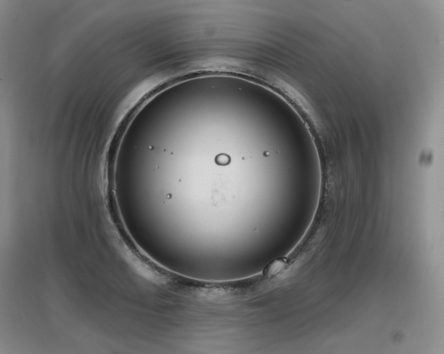 X0000097651082200802291445