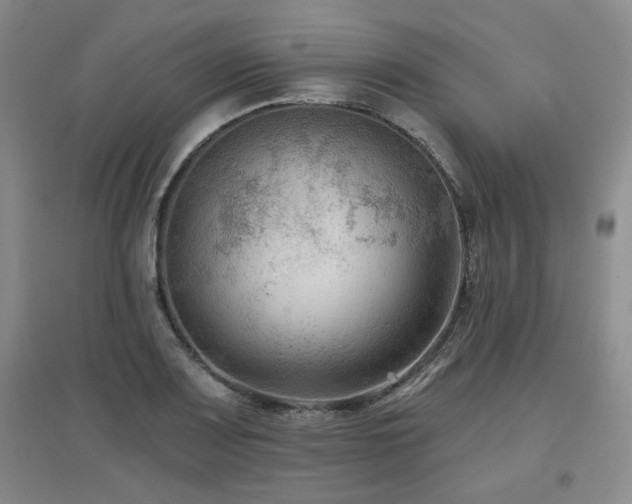 X0000097651083200802291445