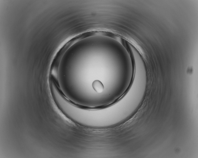 X0000097651084200802291445