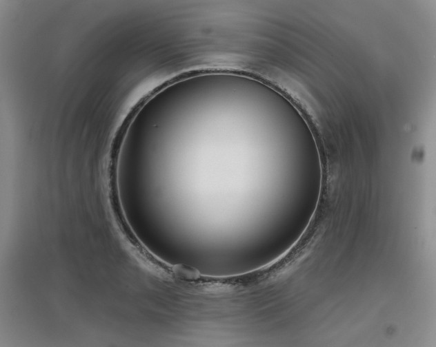 X0000097651085200802291445