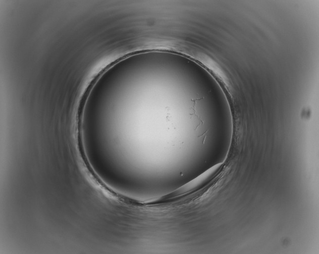 X0000097651088200802291445