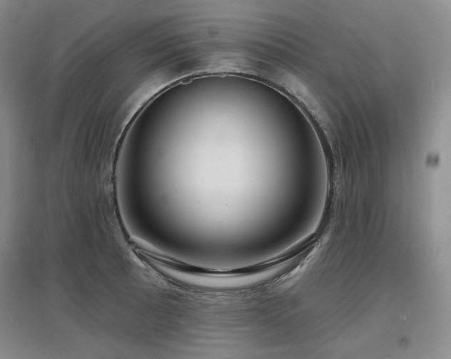 X0000097651089200802291445