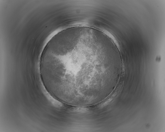 X0000097651090200802291445