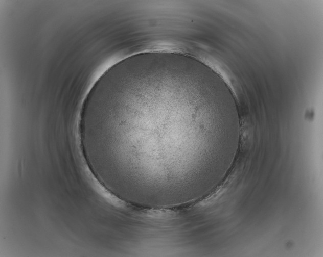 X0000097651091200802291444