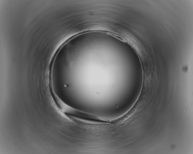 X0000097651092200802291444