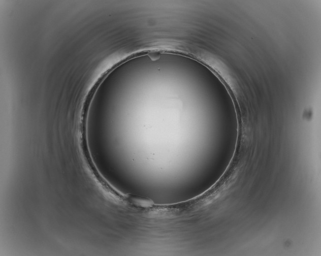 X0000097651093200802291444