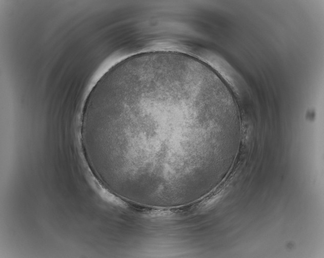 X0000097651094200802291444