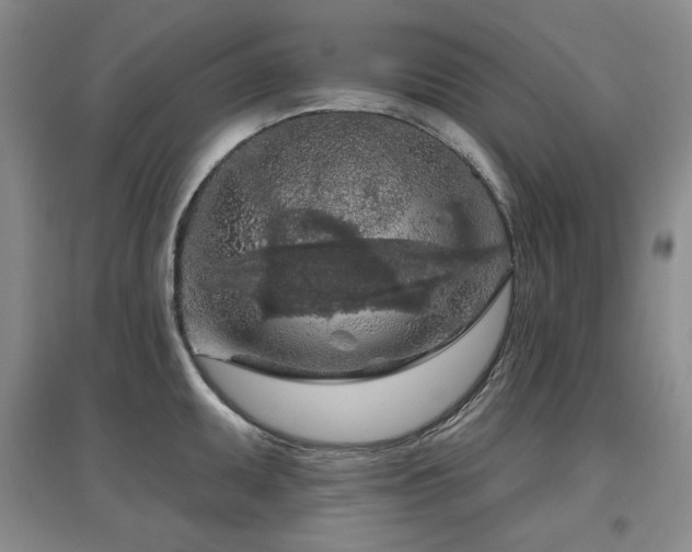 X0000097651095200802291444