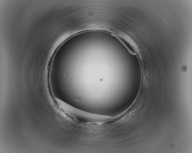 X0000097651096200802291444