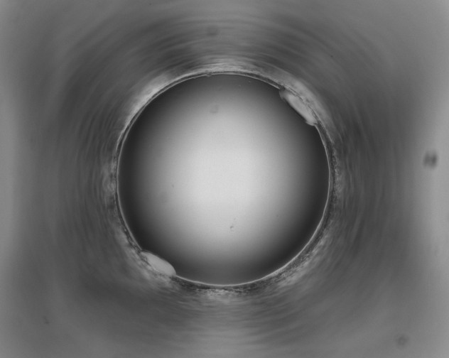 X0000097651097200802291444