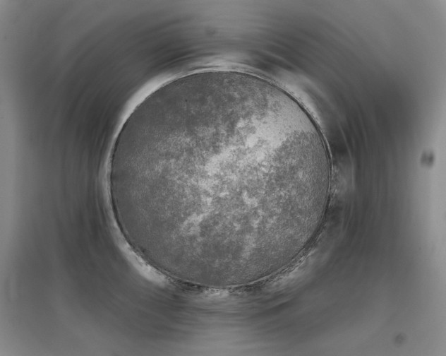 X0000097651098200802291444