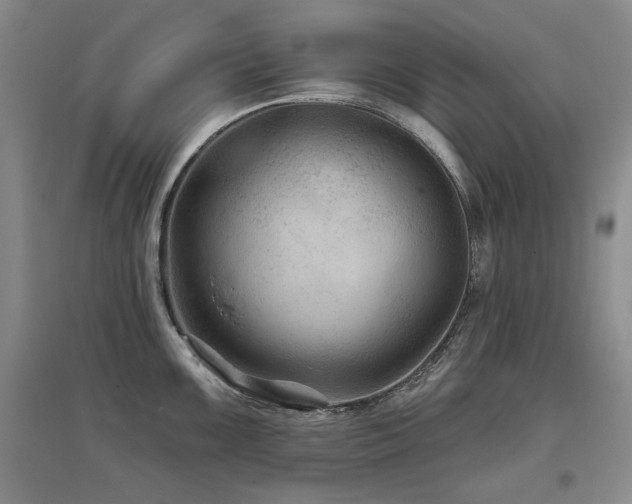 X0000097651099200802291444
