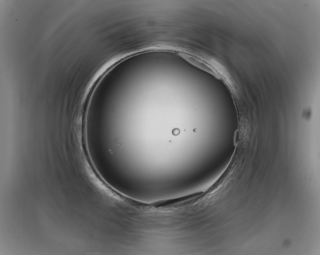 X0000097651100200802291444