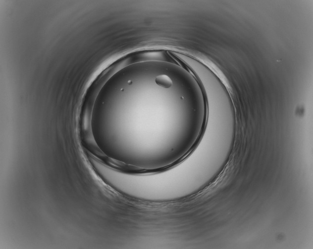 X0000097651101200802291444