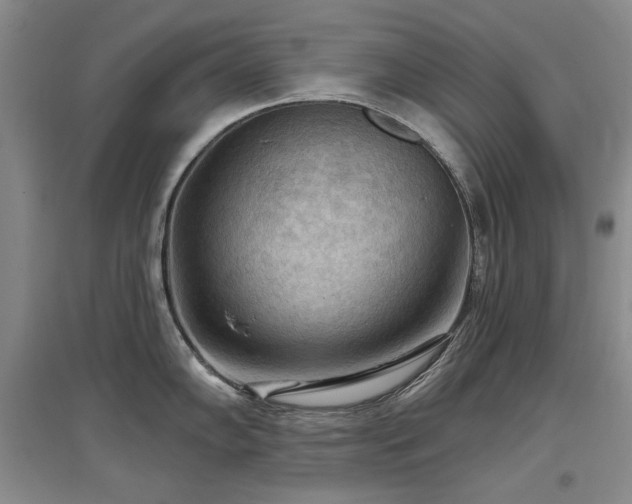 X0000097651102200802291444