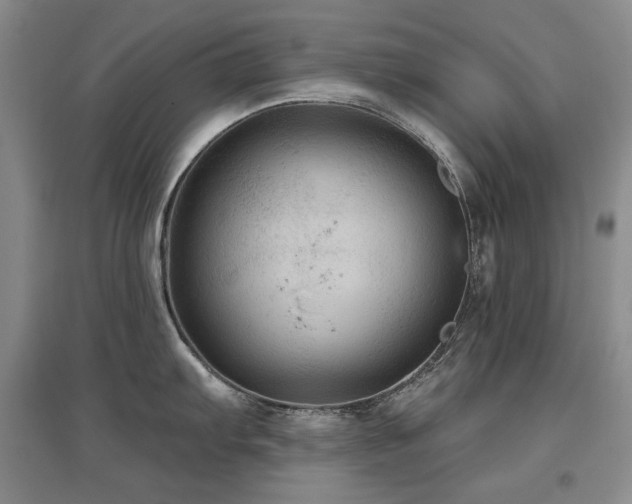 X0000097651103200802291444