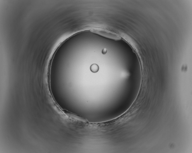 X0000097651104200802291444