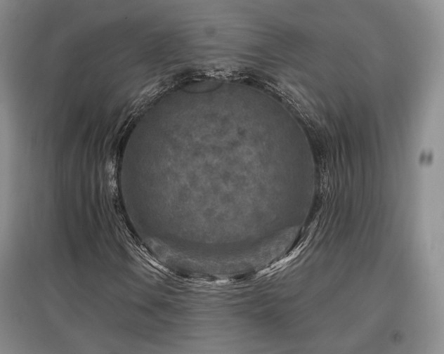 X0000097651106200802291443