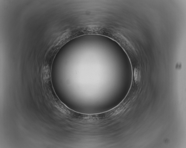 X0000097651107200802291443