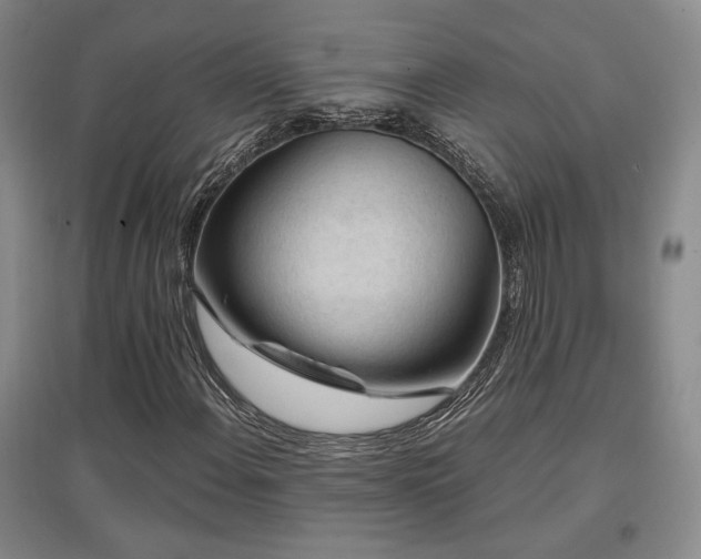 X0000097651108200802291444