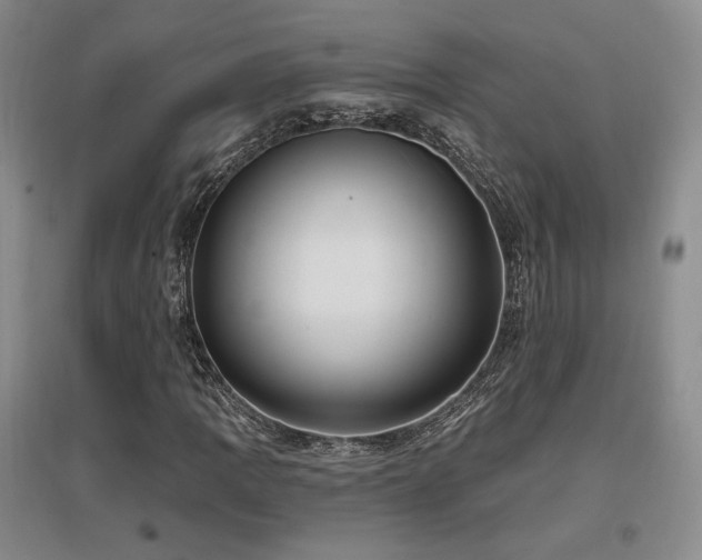 X0000097651109200802291444