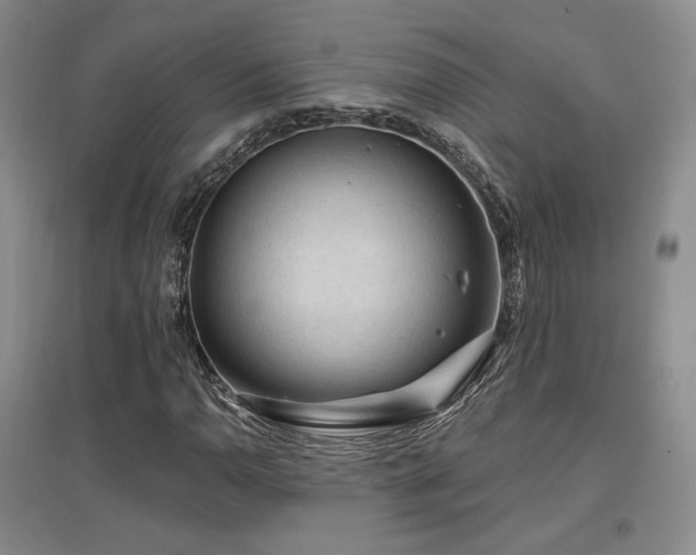 X0000097651110200802291444