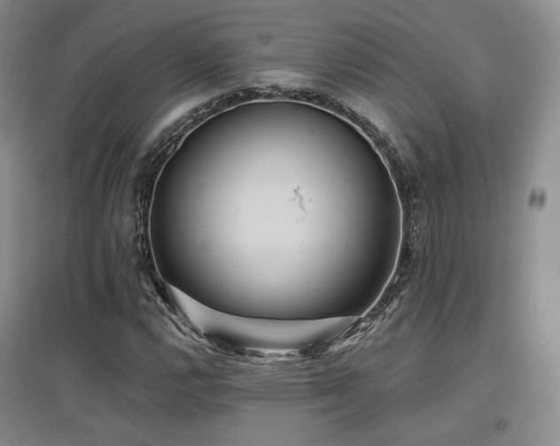 X0000097651112200802291444