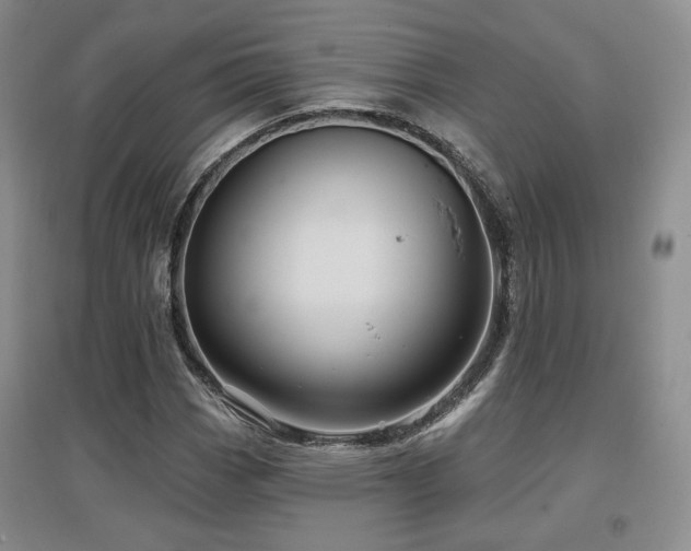X0000097651113200802291444