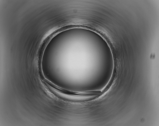 X0000097651114200802291444