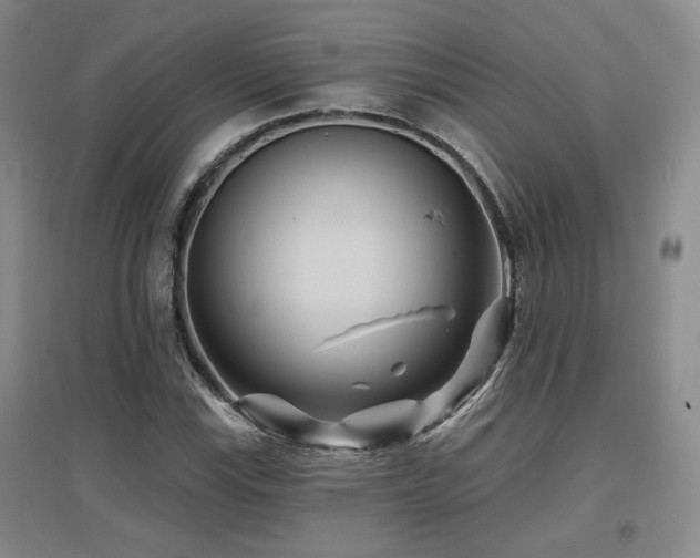 X0000097651115200802291444