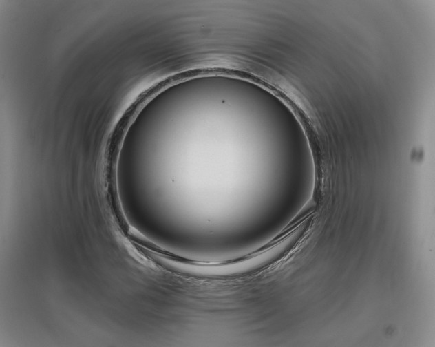 X0000097651116200802291444
