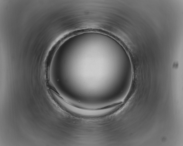 X0000097651118200802291444