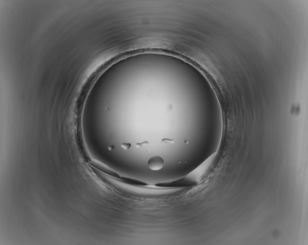 X0000097651119200802291444