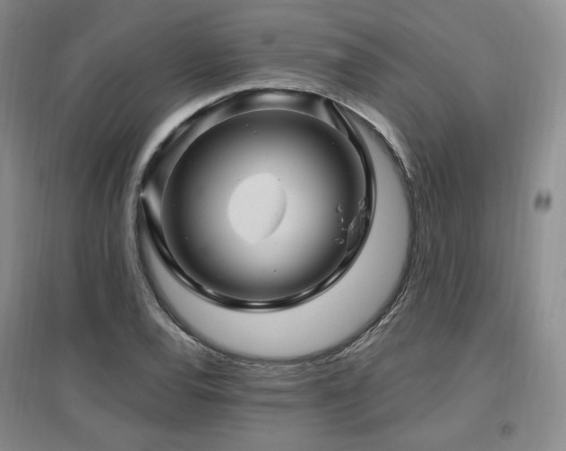X0000097651120200802291444