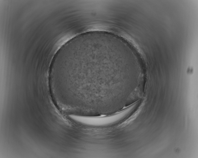 X0000097651121200802291444