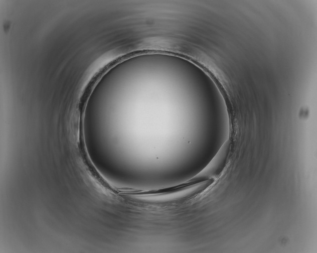 X0000097651123200802291444