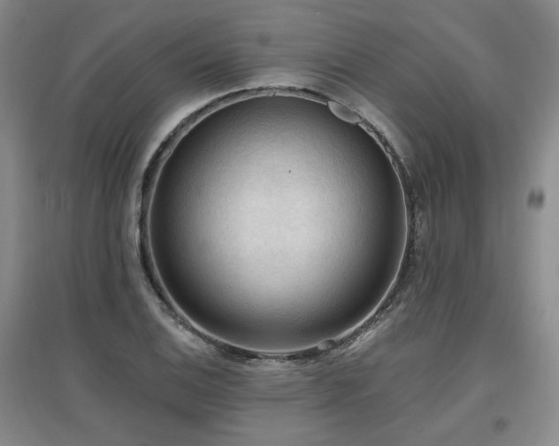 X0000097651124200802291444