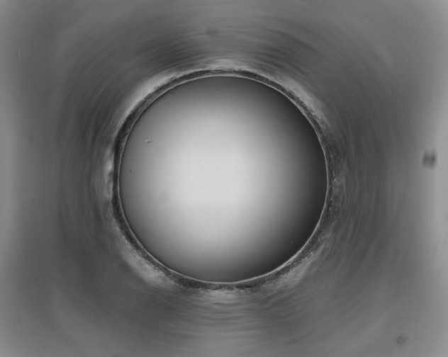 X0000097651126200802291444