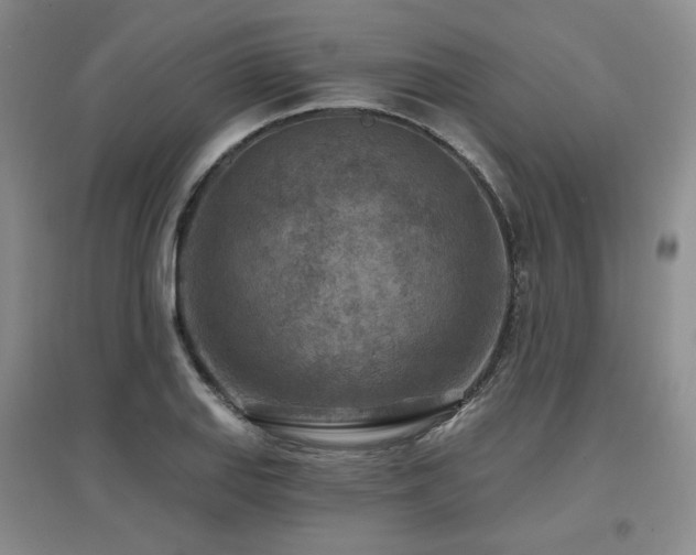 X0000097651127200802291444