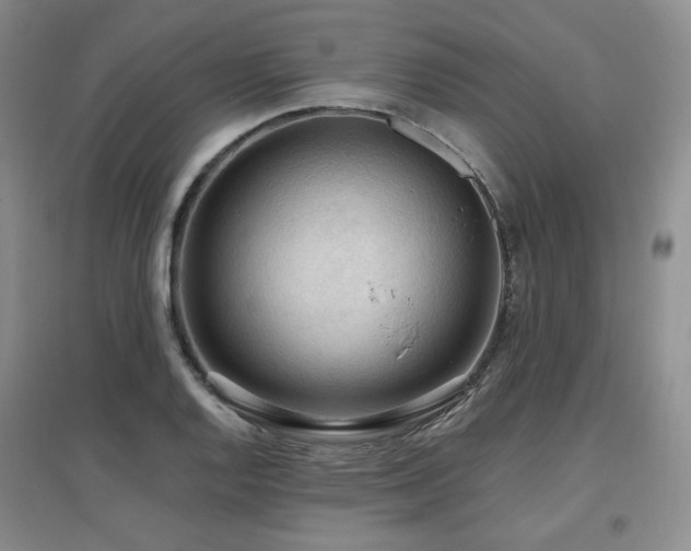 X0000097651128200802291444