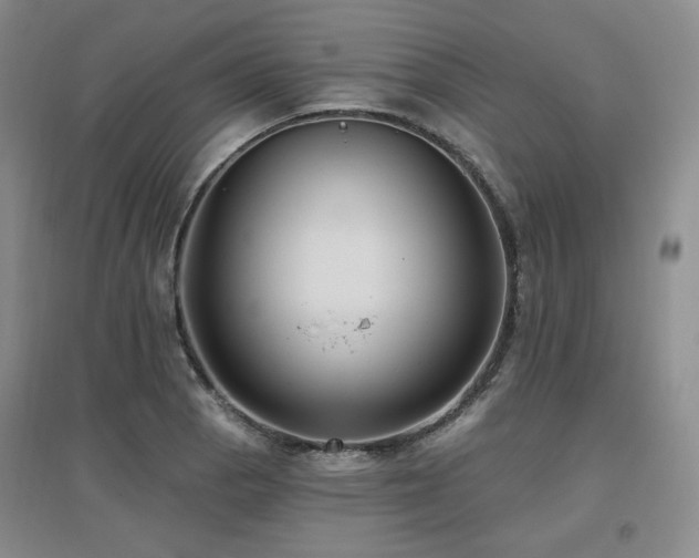 X0000097651129200802291444