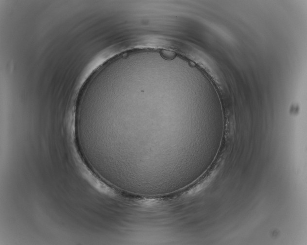 X0000097651130200802291444